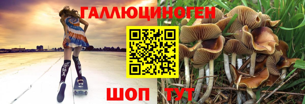 Красноармейск  Псилоцибиновые грибы GOLDEN TEACHER  где можно купить   Вход с VPN  Галлюциногенные грибы Magic Shrooms 
